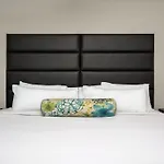 Bold Cozysuites With Gym, Roof #7