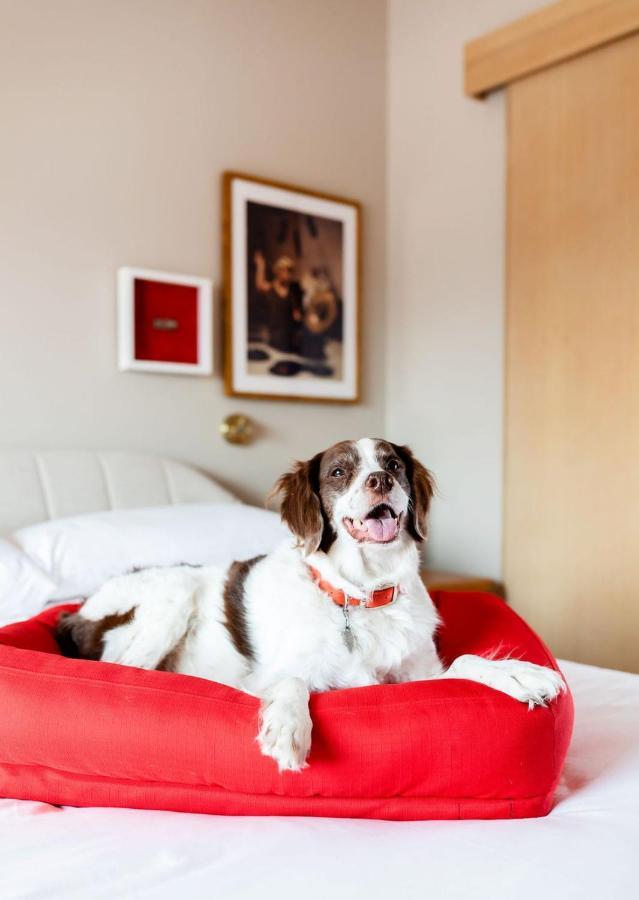 Virgin Hotel Dallas