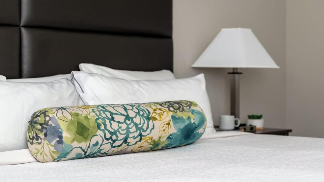 Bold Cozysuites With Gym, Roof #7 * Dallas