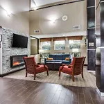 Comfort Inn & Suites Love Field Dallas Market Center