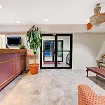 Super 8 By Wyndham Dallas South