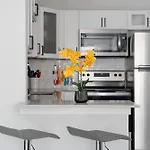 Newly Remodeled, Modern And Cozy