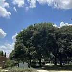 Downtown Dallas L Boho City Gem Luxe 1Bd