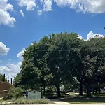 Dt Dallas L Baylor Med Walking Distance L 1Bed