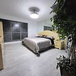 Urban Treehouse