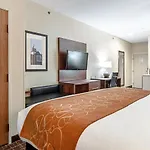 Comfort Suites Nw Dallas Near Love Field