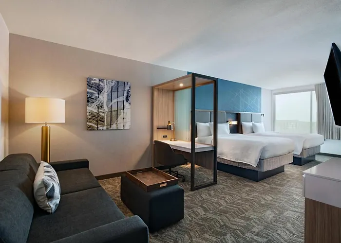 Springhill Suites By Marriott Dallas Richardson/University Area