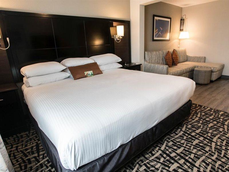Wingate By Wyndham Field Hotel Dallas