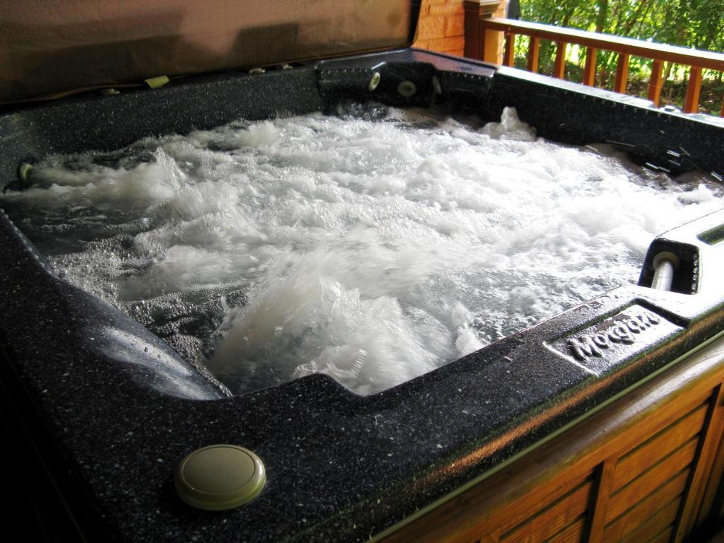Alla's Historical Bed And Breakfast, Spa And Cabana Dallas