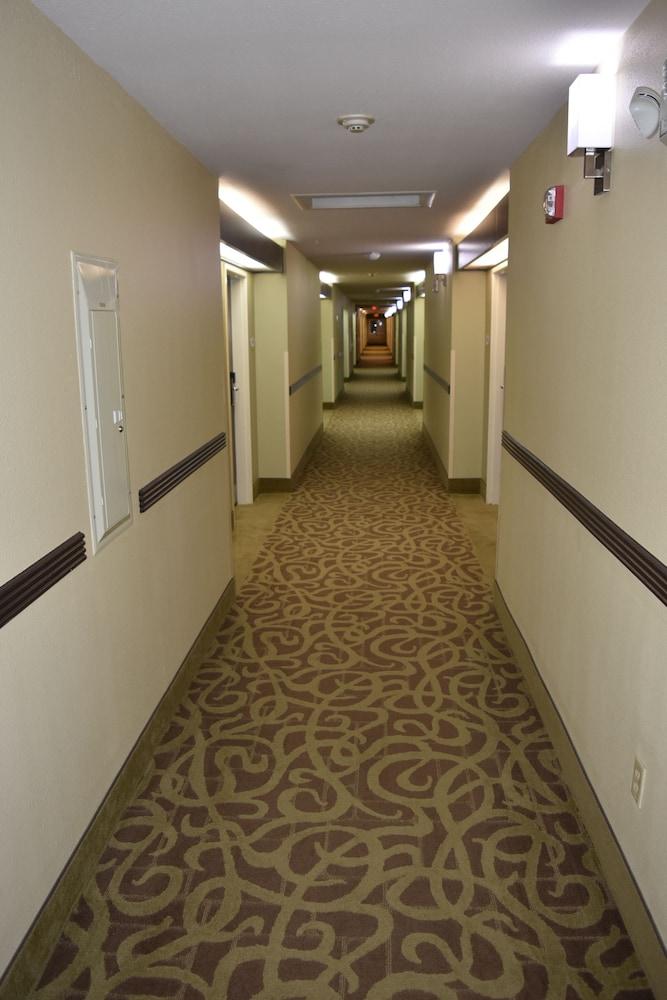 Baymont By Wyndham Dallas/ Field Hotel