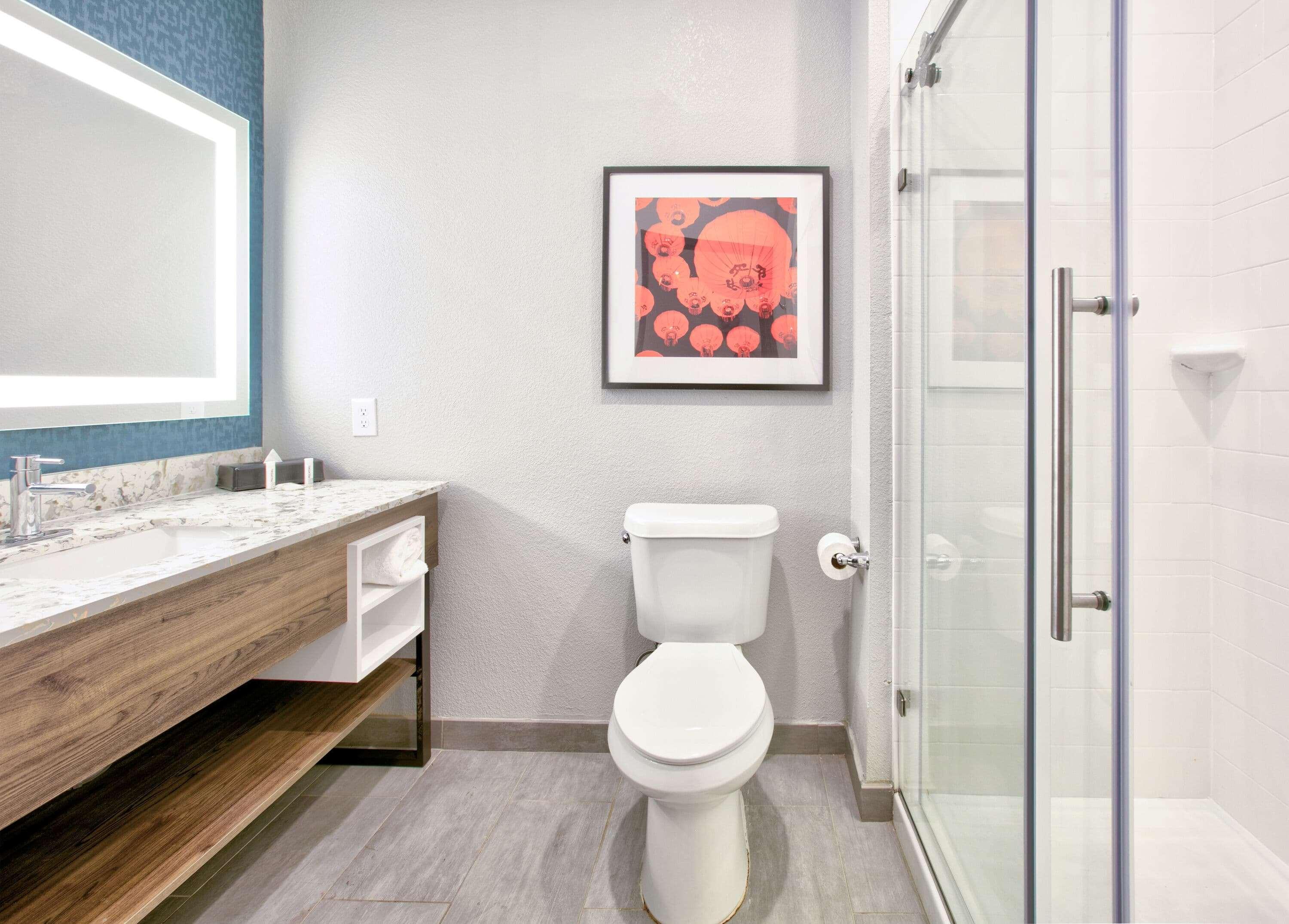 Hotel La Quinta & By Wyndham Dallas/fairpark 3*