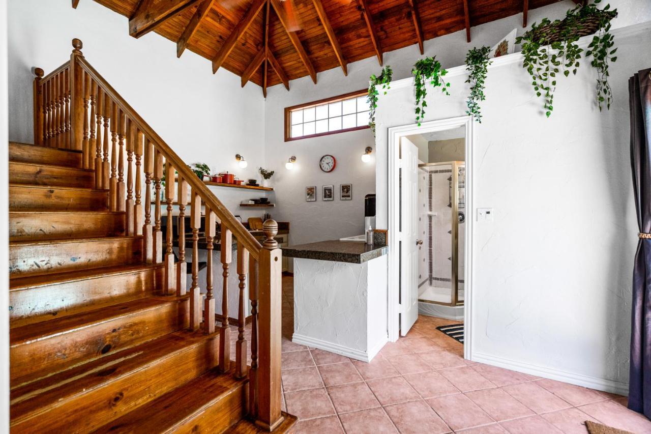 Oak Lawn Oasis W/ Private Pool, Hot Tub Guest house