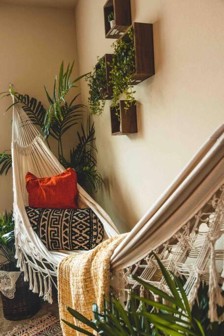 Cozi Uptown Bohemian Oasis W/ King Bed And Hammock *