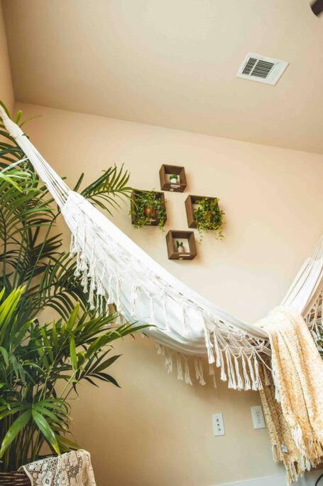 Apartment Cozi Uptown Bohemian Oasis W/ King Bed And Hammock