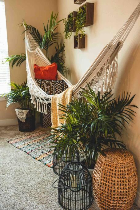 Apartment Cozi Uptown Bohemian Oasis W/ King Bed And Hammock