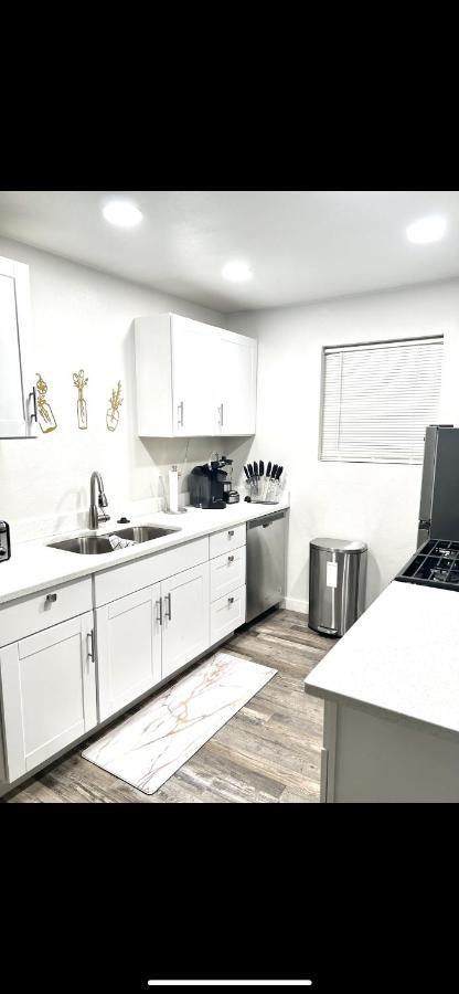 Luxury Modern In Apartment Dallas