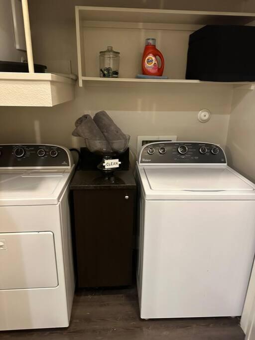 Apartment Luxury Urban Living Town Dallas