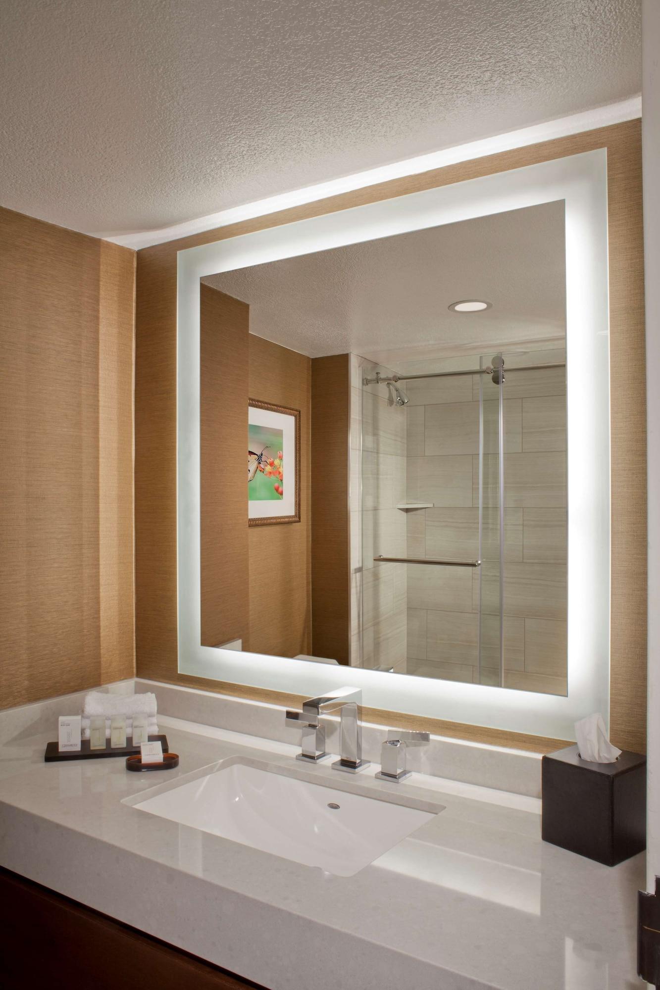 Hotel Embassy By Hilton Near The Galleria 4*