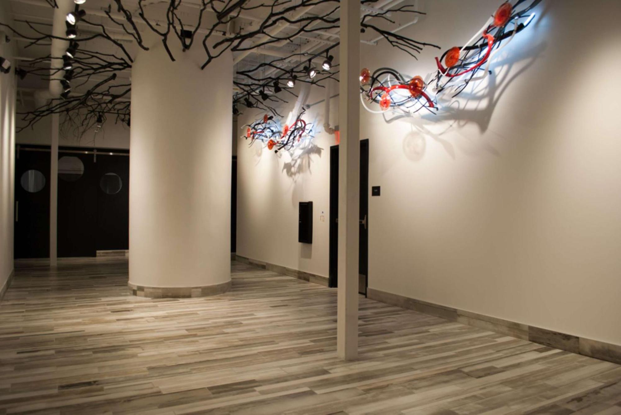 Lorenzo Dallas, Tapestry Collection By Hilton Hotel