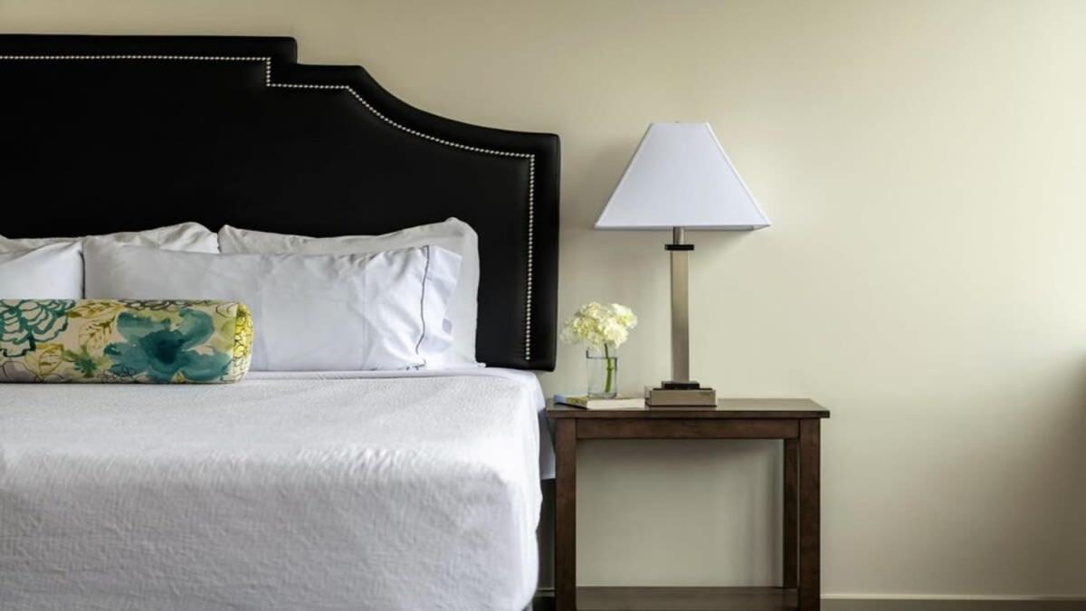 16th Fl Bold Cozysuites With Pool, Gym #3 Apartment *