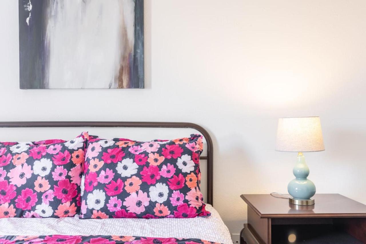 Apartment Simplicity At Its Finest One Bed One Bath In Dfw
