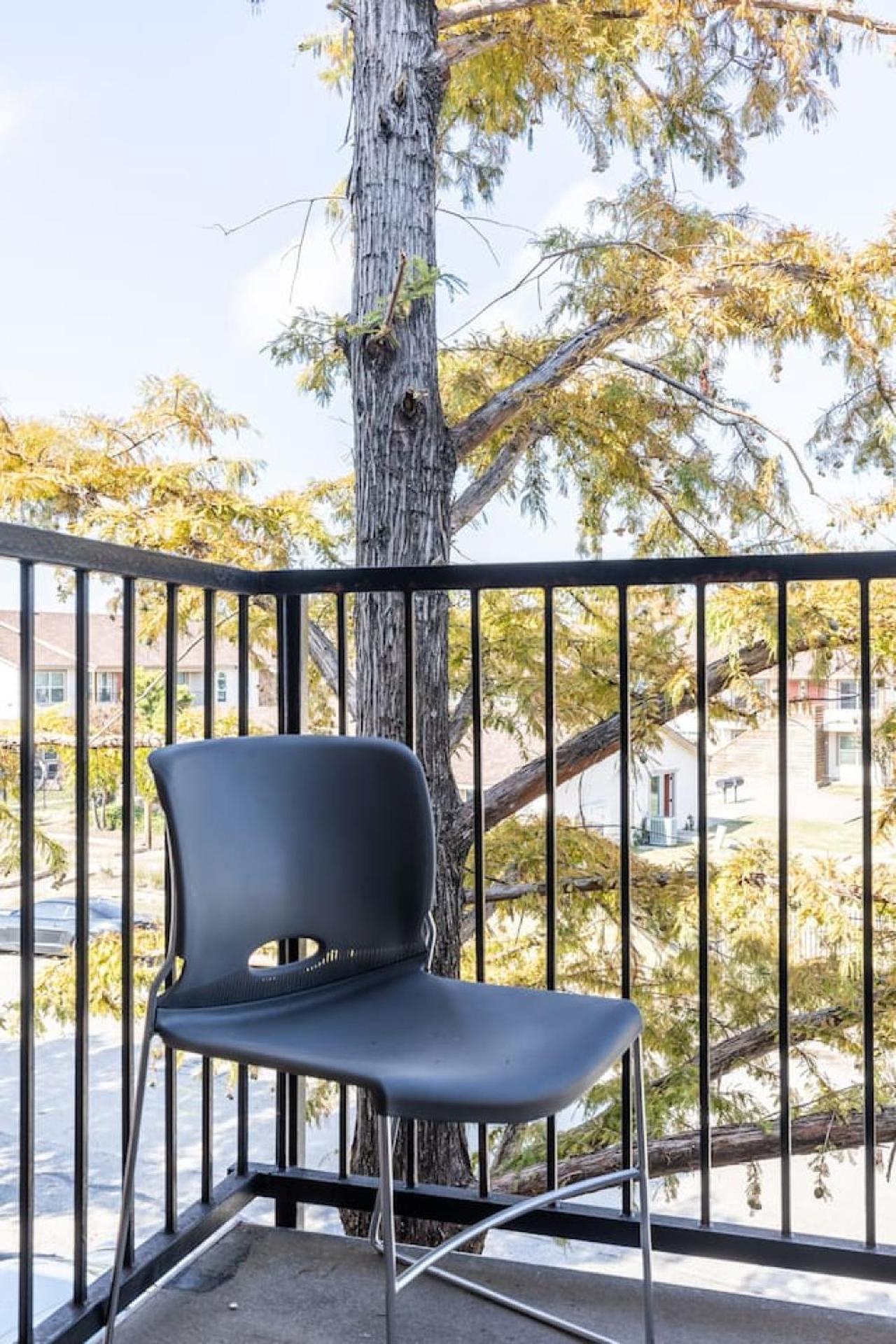 Apartment Simplicity At Its Finest One Bed One Bath In Dfw