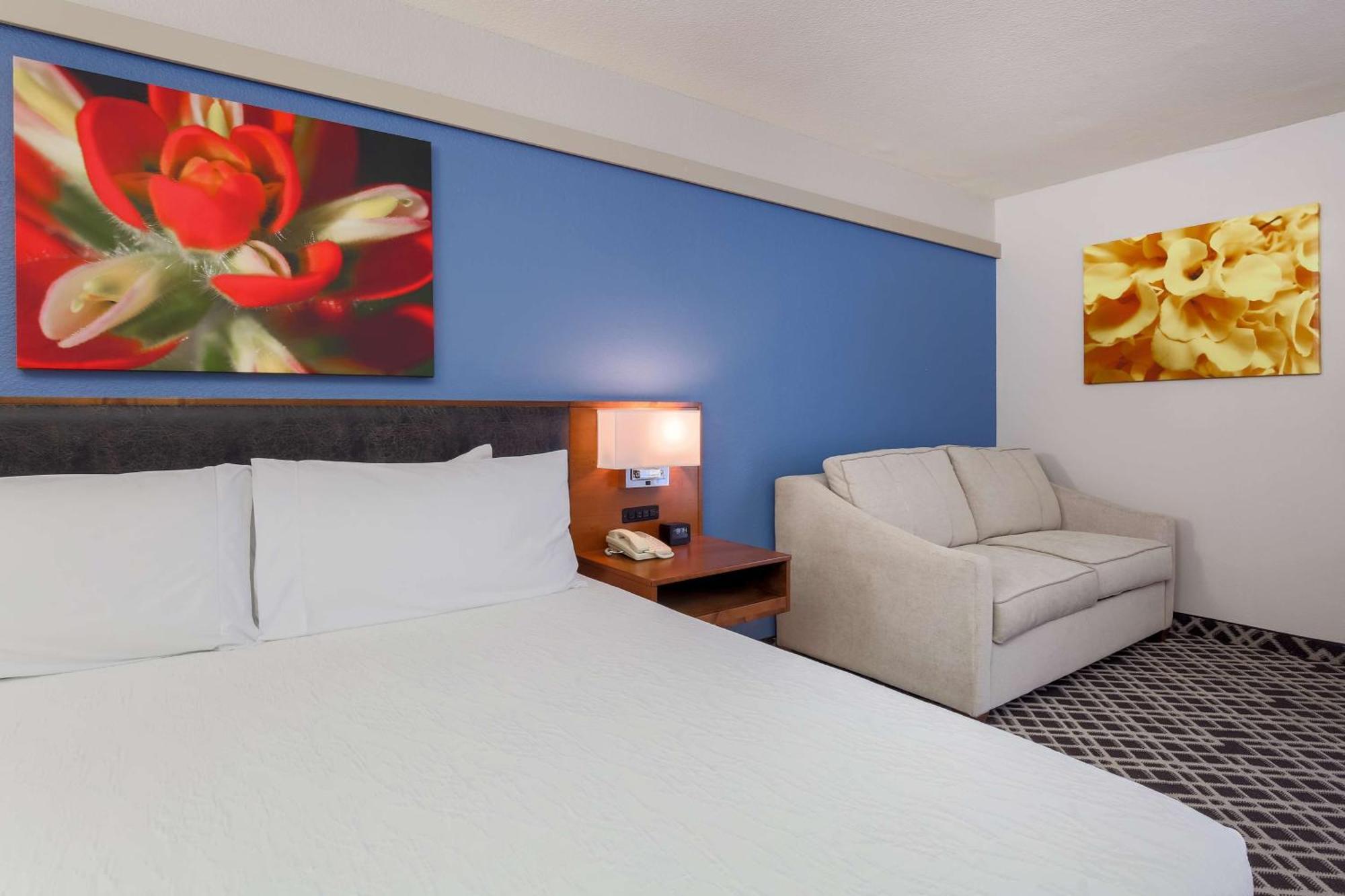 Hilton Garden Dallas/market Center Hotel