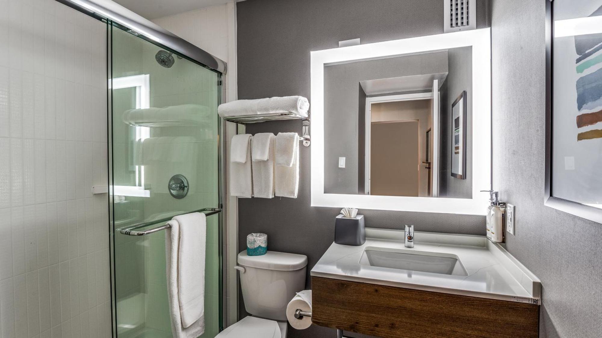 Hotel Staybridge Market Ctr Field, An Ihg Dallas