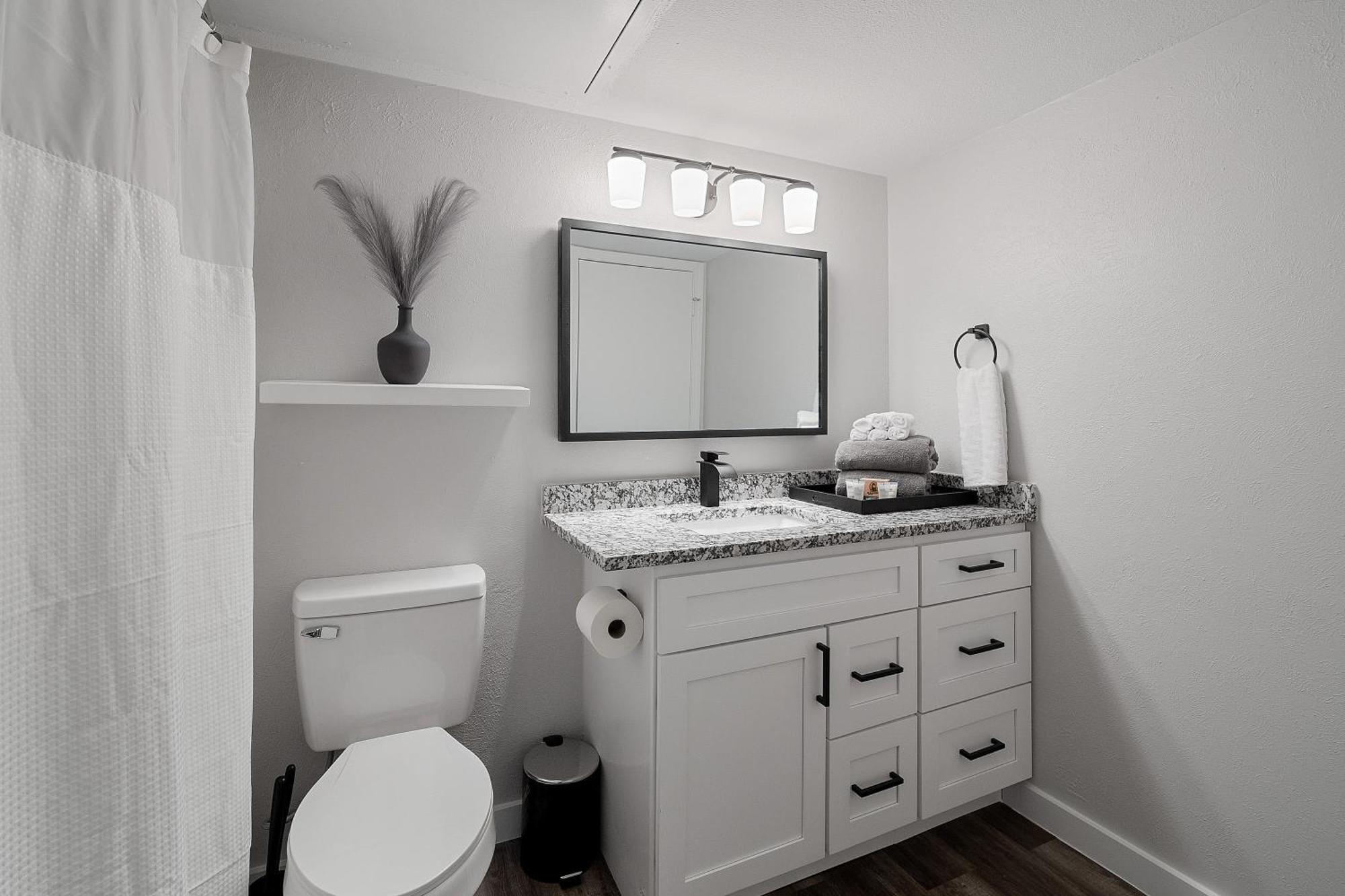 Newly Remodeled, Modern And Cozy