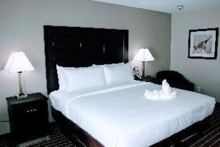 Alexis & Banquets Park Galleria Hotel 3*