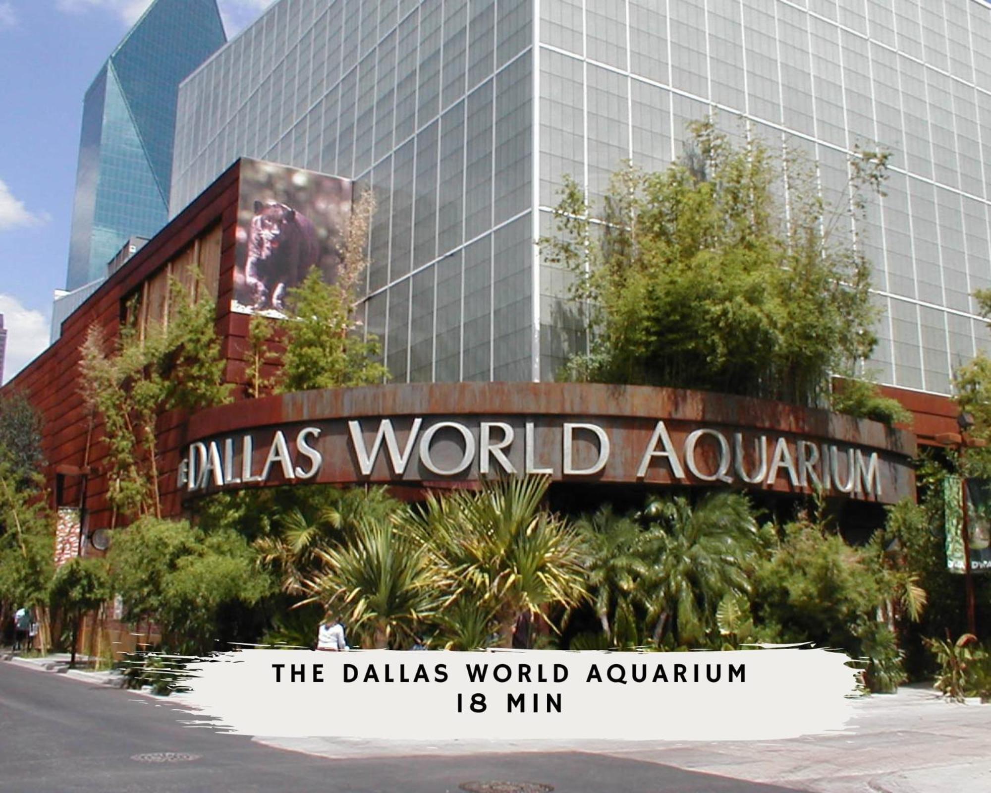 The Of The North Area Pool & Patio * Dallas
