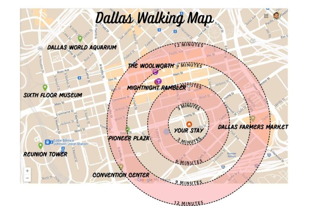 Apartment Stunning Downtown With Pool, Laundry, Parking Dallas