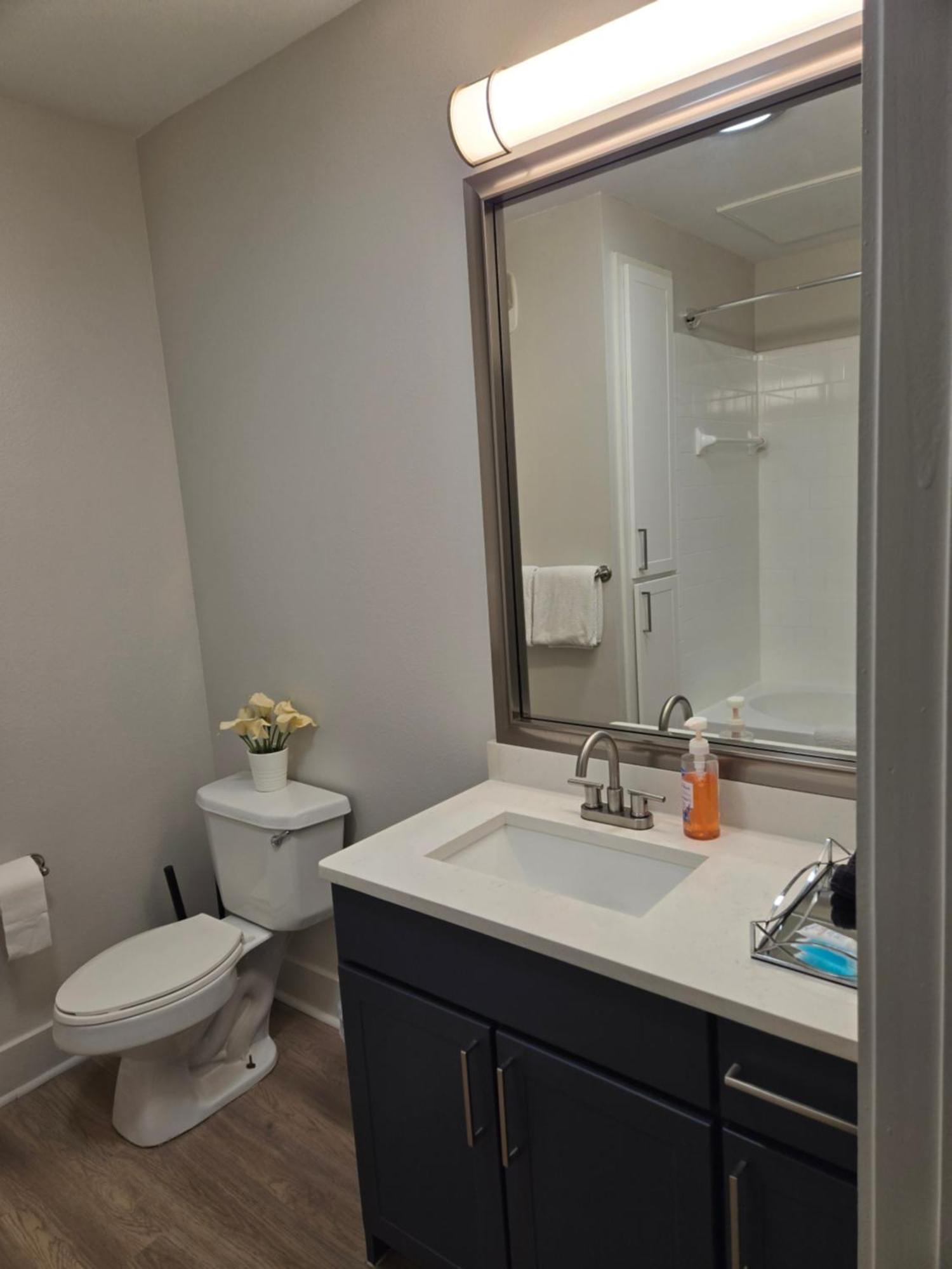 Apartment Comfortable 1 Bedroom Dallas