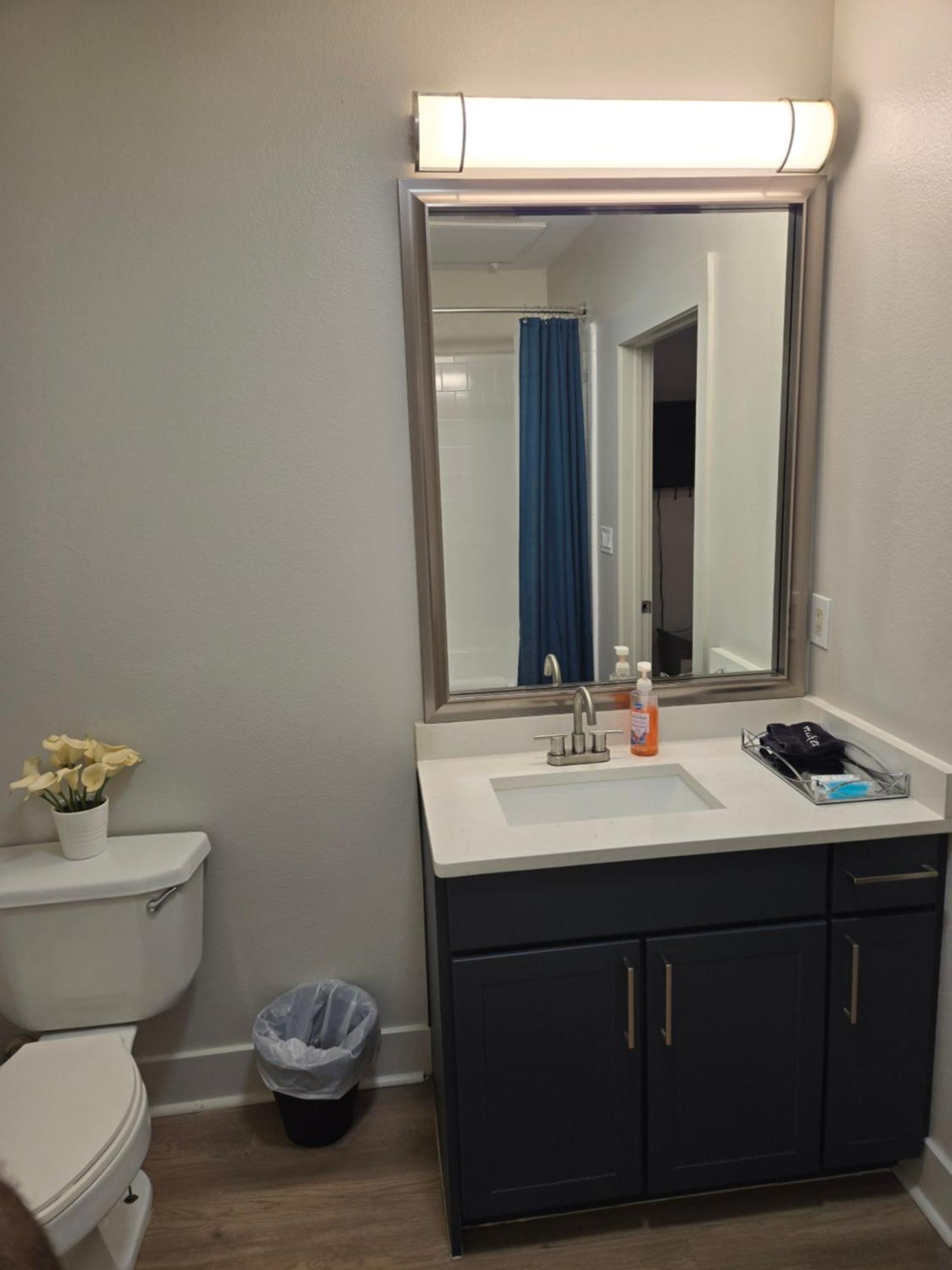 Comfortable 1 Bedroom Dallas