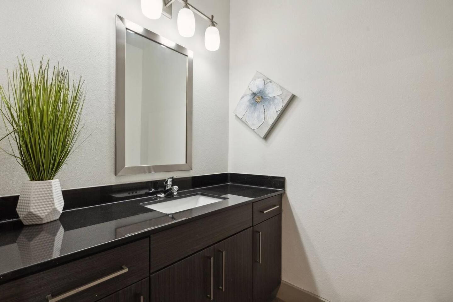 The Oasis Apartment *