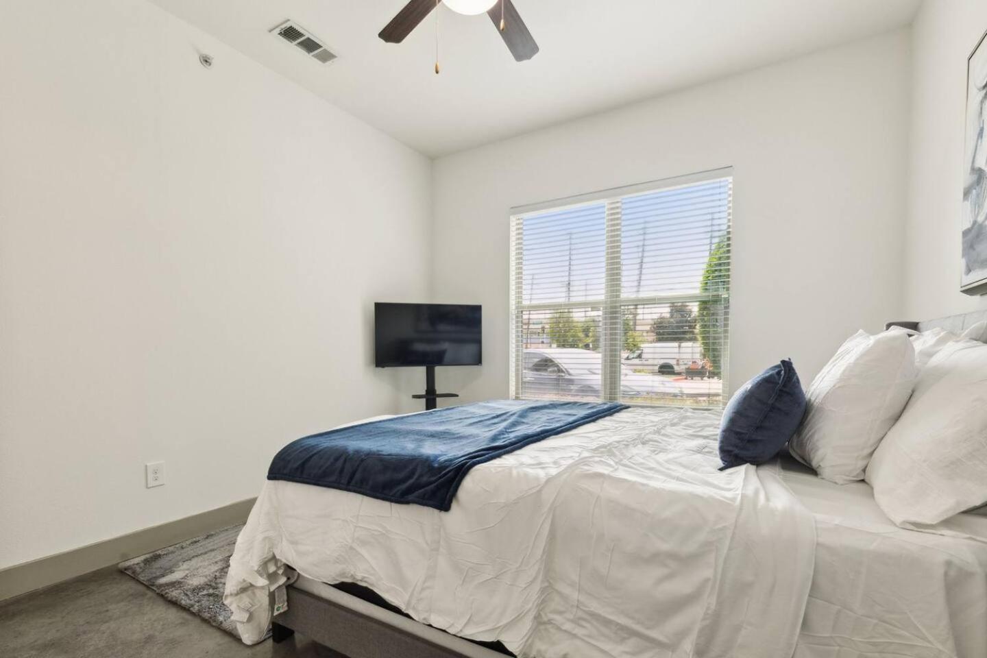 The Oasis Dallas