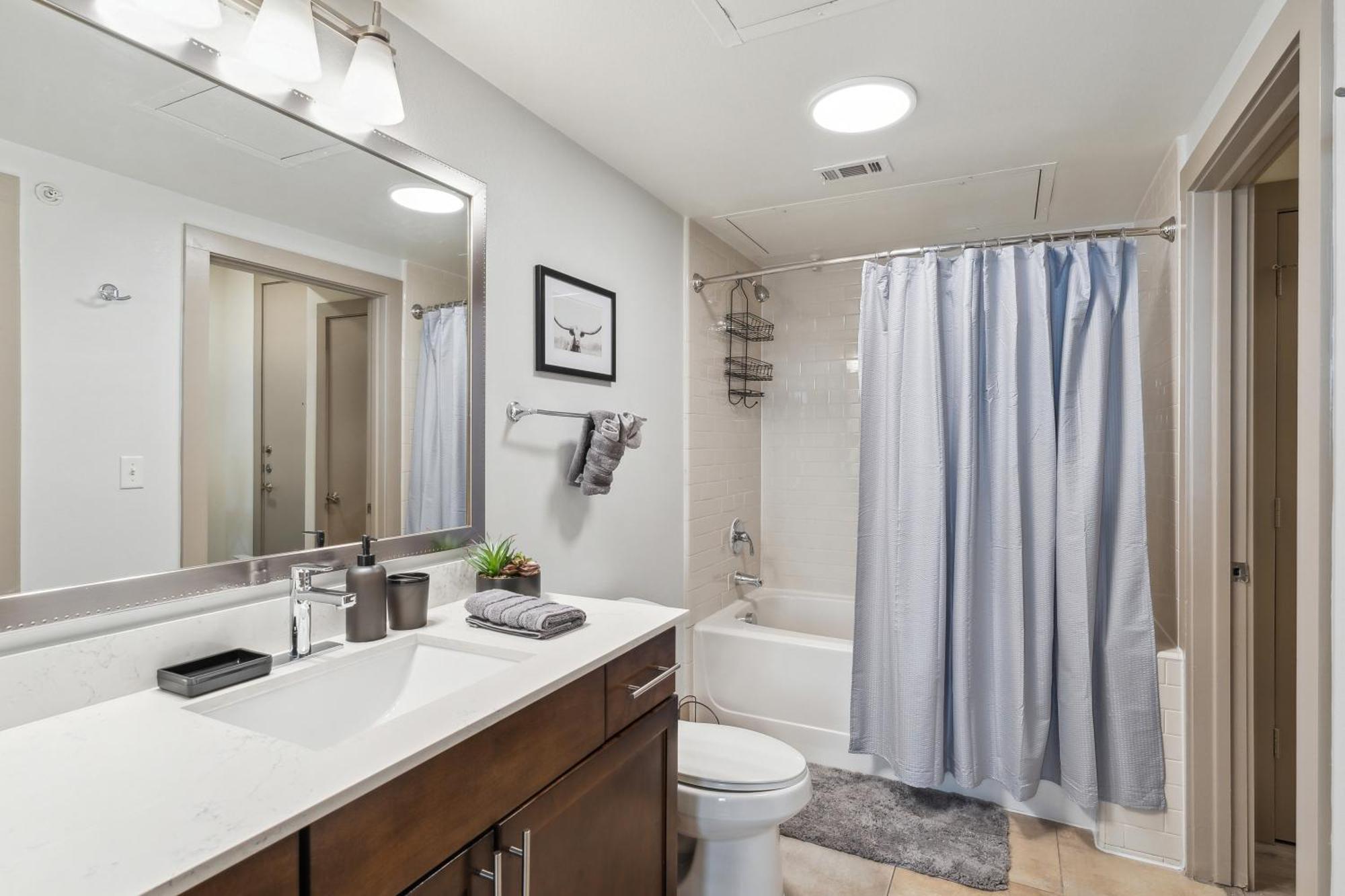 Apartment Spacious Uptown Gem Free Parking Pet Friendly