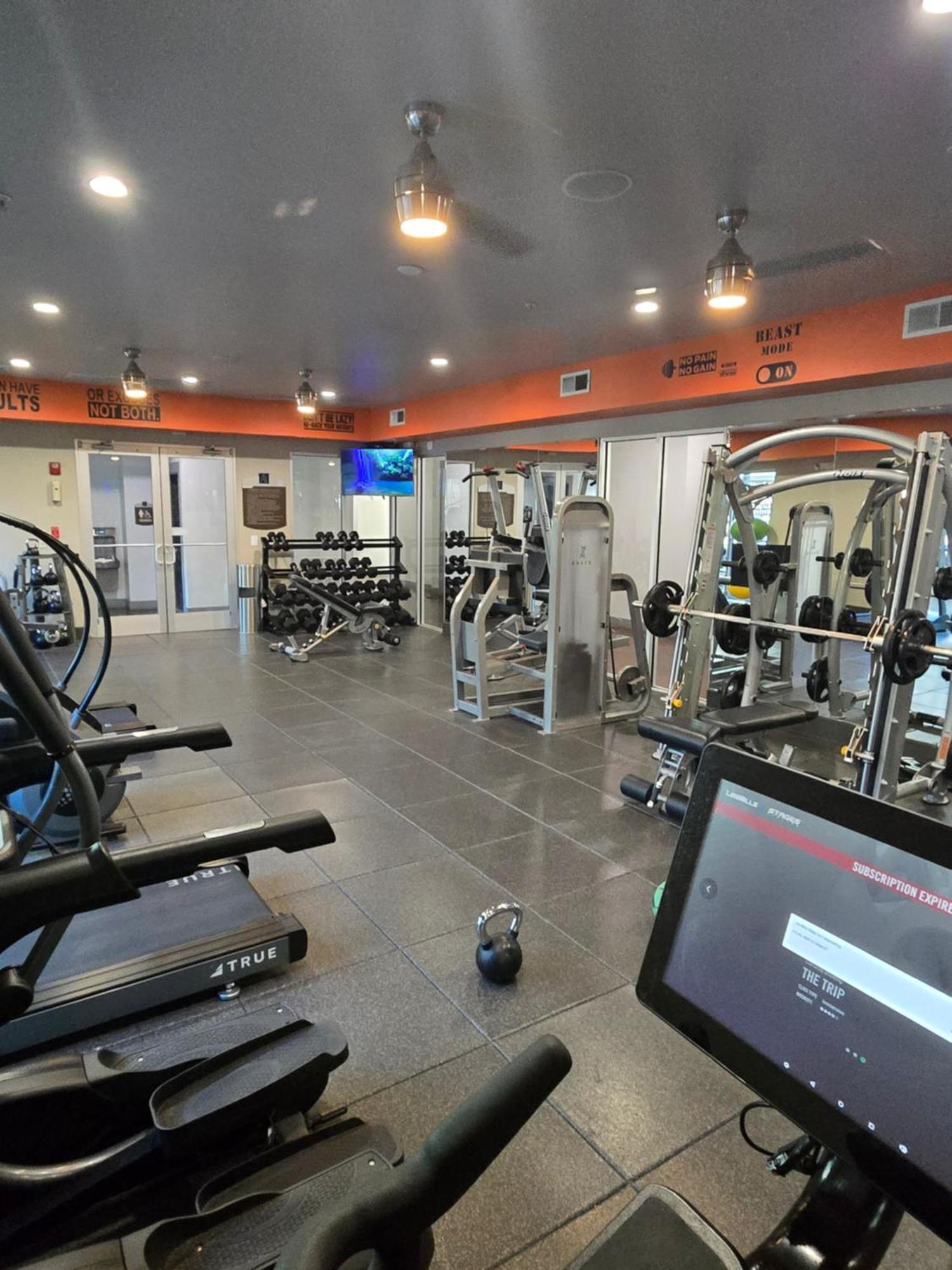 Comfortable 1 Bedroom Apartment *