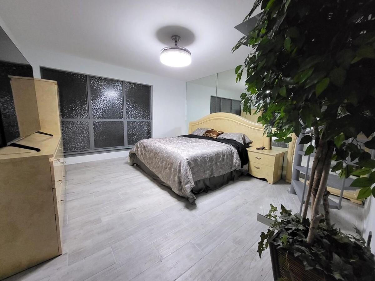 Urban Treehouse Apartment Dallas