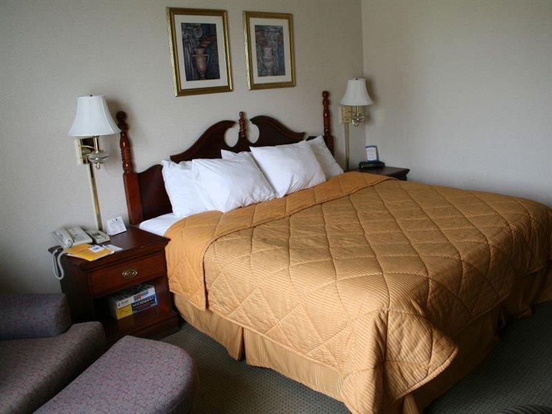 Hotel Comfort & Field-dallas Market Center