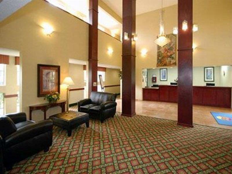 Hotel Comfort & Field-dallas Market Center Dallas