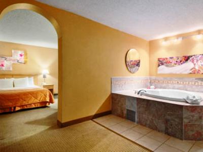 Clarion Park Hotel Dallas