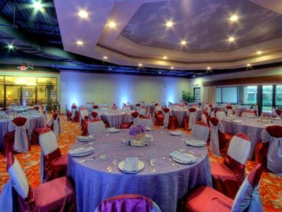 Mcm Elegante And - Hotel