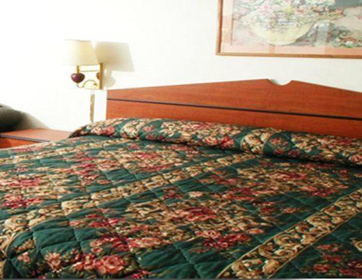 Motel Executive 3*