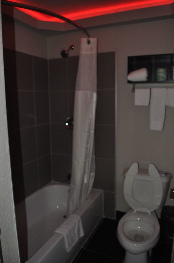 Hotel Downtown Dallas/cotton Bowl