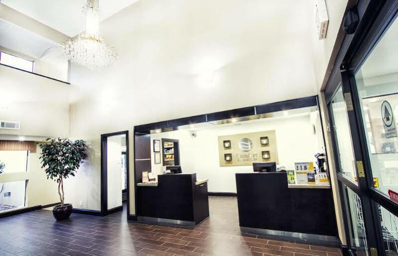 Hotel Comfort & Field-dallas Market Center Dallas