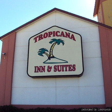 Tropicana And *