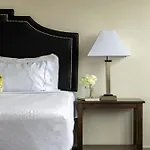 22Nd Fl Bold Cozysuites With Pool, Gym