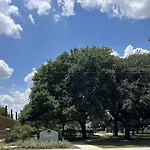 Downtown Dallas Luxe Urban Haven 1Bd Retreat