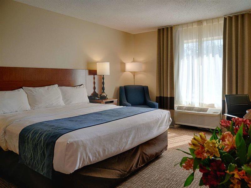 Hotel Comfort & North Dallas-addison Dallas